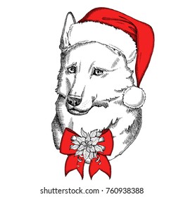 German Shepherd in a red Santa Claus hat with bow and Christmas flower red Poinsettia. Hand drawn vector dog