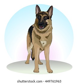 German Shepherd. Sheepdogs and service detection dogs. Security breed. Favorite pets. Friend of human. Realistic vector illustration.