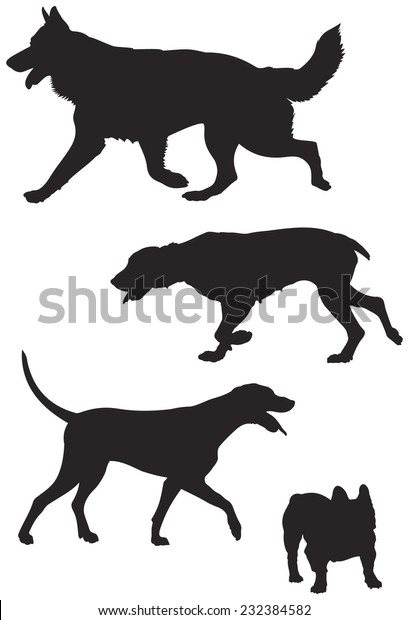 German Shepherd German Shorthaired Pointer Dalmatian Animals