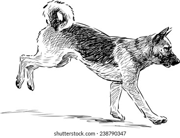 german shepherd sketch