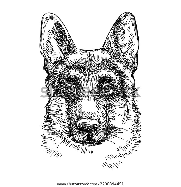 German Shepherd Sketch Style Dog Illustration Stock Vector (Royalty ...