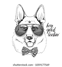 German Shepherd in a sunglasses and in a bow tie. Vector black and white illustration.