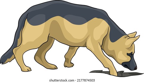 German Shepherd, Wolfhound, Digs A Hole In The Ground Drawing Vector Illustration Dog Police Lifesaver, Lifeguard, 