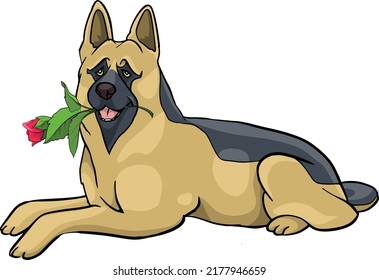 German Shepherd, Wolfhound, Lying Resting With Red Roses In Mouth Drawing Vector Illustration Dog Police