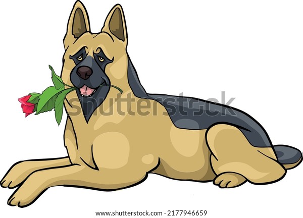 German Shepherd, wolfhound, lying resting with red roses in mouth drawing vector illustration dog police