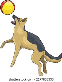 German Shepherd, wolfhound, playing with beach ball on the grass drawing vector illustration dog police 