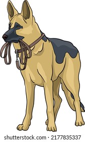 German Shepherd, wolfhound, standing with leash in mouth drawing vector illustration dog police 