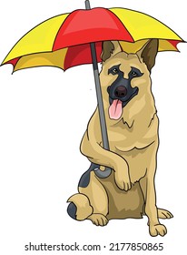 German Shepherd, wolfhound, with umbrella on the beach summer holiday vector illustration dog police lifesaver, lifeguard