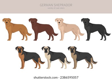 German Sheprador clipart. German Shepherd Labrador retriever mix. Different coat colors set.  Vector illustration