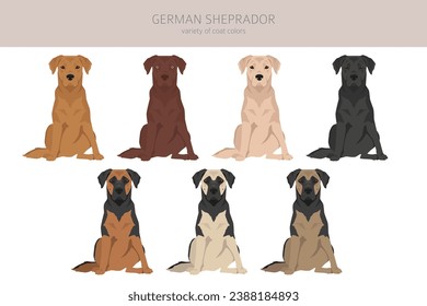 German Sheprador clipart. German Shepherd Labrador retriever mix. Different coat colors set.  Vector illustration