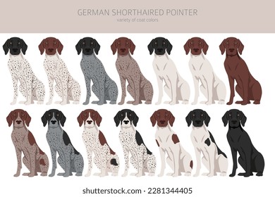 German shorthaired pointer clipart. Different poses, coat colors set.  Vector illustration