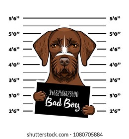 German shorthaired pointer dog criminal. Police banner. Arrest photo. Police placard, Police mugshot, lineup. Police department banner. Dog offender. Vector illustration