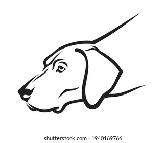 German shorthaired pointer - dog face - isolated vector illustration