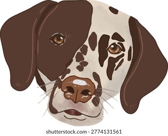 German Shorthaired Pointer Dog Face – Spotted Hunting Dog Illustration