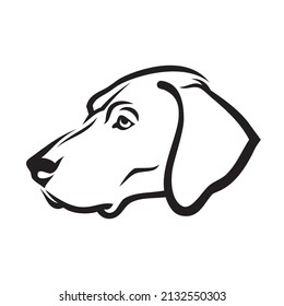 German Shorthaired Pointer Dog - Isolated Vector Illustration