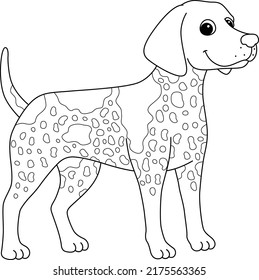 German Shorthaired Pointer Dog Isolated Coloring