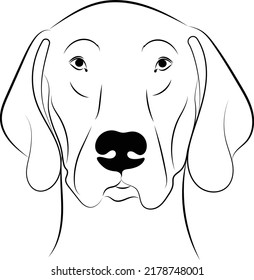 German shorthaired pointer ears - isolated vector illustration