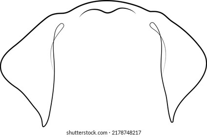 German shorthaired pointer ears - isolated vector illustration