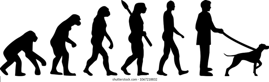 German shorthaired pointer evolution with silhouettes