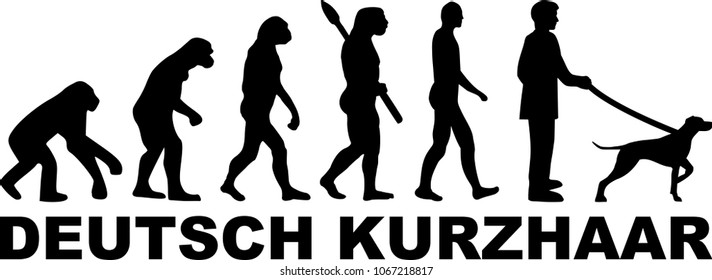 German shorthaired pointer evolution with german words