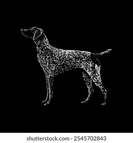 german shorthaired pointer hand drawing vector isolated on black background.