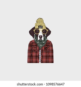 German Shorthaired Pointer hipster portrait, fashion dogs