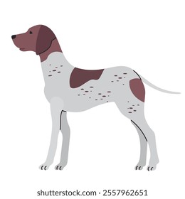 German shorthaired pointer icon clipart avatar logotype isolated vector illustration