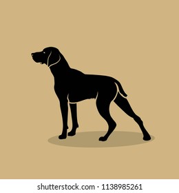 German shorthaired pointer - isolated vector illustration