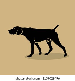 German Shorthaired Pointer Images Stock Photos Vectors