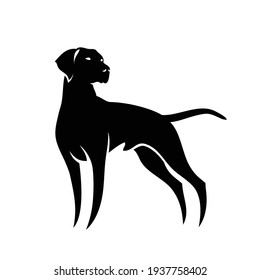 German shorthaired pointer - isolated vector illustration