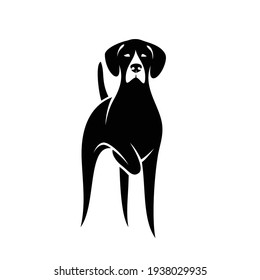 German shorthaired pointer - isolated vector illustration