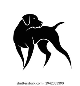 German shorthaired pointer - isolated vector illustration