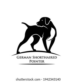 German shorthaired pointer - isolated vector illustration