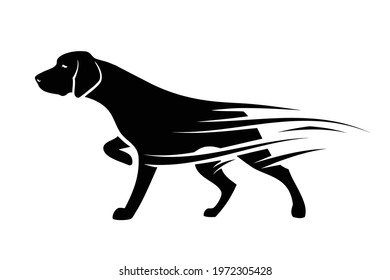 German shorthaired pointer - isolated vector illustration