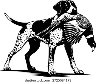 Ponteiro curto alemão com faisão - Cão de caça com pássaro - GSP Pheasant Hunter Design - Faisão na boca do cão Alemão Ponteiro curto Pássaro de caça Projeto do cão