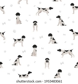 German shorthaired pointer seamless pattern. Different poses, coat colors set.  Vector illustration