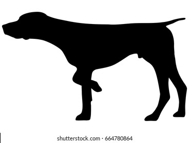 German Shorthaired Pointer Silhouette Vector