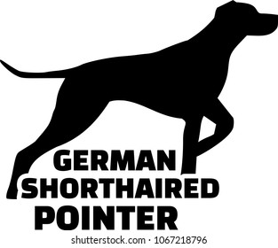 1000 German Shorthaired Pointer Silhouette Stock Images Photos