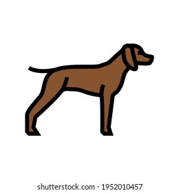Deutsch geflochtener Zeiger Hund Farbe Symbol Vektorgrafik. deutsches Schild mit gefälschtem Zeigerhund. einzelne Symbolillustration