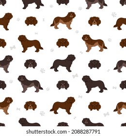 German spaniel seamless pattern. Different poses, coat colors set.  Vector illustration