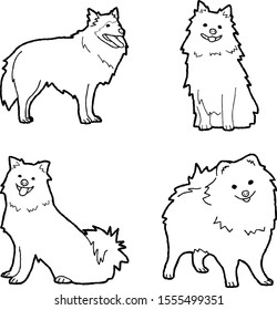 German Spitz Animal Vector Illustration Hand Drawn Cartoon Art