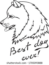 German spitz best dog ever vector drawing cute pet portrait friend graphics