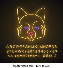 German Spitz cute kawaii neon light character. Dog with smirking muzzle. Animal with eyes looking to side. Funny emoji, emoticon. Glowing icon, alphabet, numbers, symbols. Vector isolated illustration