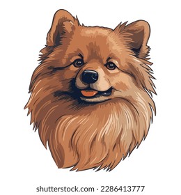 German Spitz Dog Flat Icon Isolated On White Background