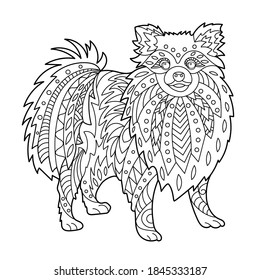 German Spitz dog toy coloring page for adult and children. Creative cute puppy for coloring book design. Black and white vector illustration.