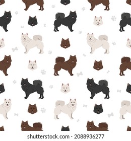 German spitz, Giant spitz clipart. Different poses, coat colors set.  Vector illustration