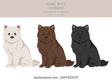 German spitz, Giant spitz puppy clipart. Different poses, coat colors set.  Vector illustration