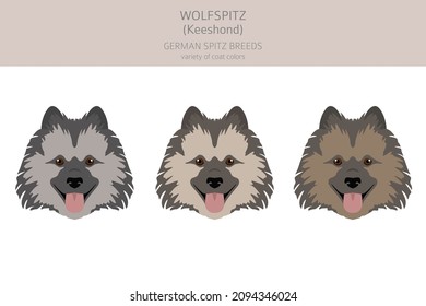 Deutscher Spitzhammer, Wolfspitz Clipart. Unterschiedliche Posen, Farben für die Fellfarbe.  Vektorgrafik