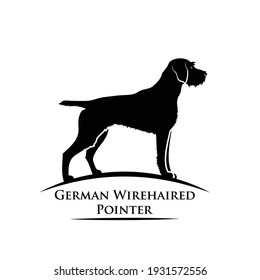 German wirehaired pointer - dog breed - isolated vector illustration