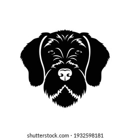 German wirehaired pointer - dog breed - isolated vector illustration